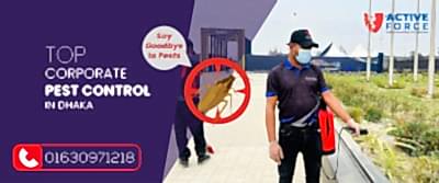 Say Goodbye to Pests with Top Corporate Pest Control in Dhaka | Active Force